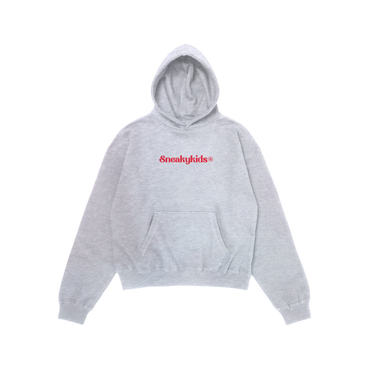 BROKEN CRAYONS HOODIE - ACID GRAY